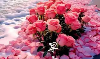 2024年最火的祝福语 2024年最火的祝福语