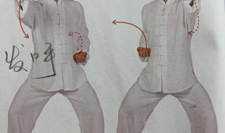 八段锦带口令和呼吸