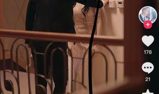 秦爷的小哑巴网络剧