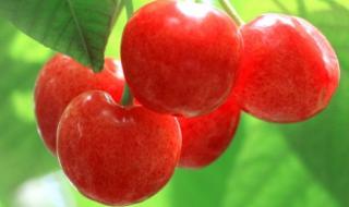 专业合作社 专业合作社