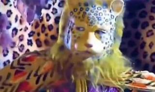 金钱豹头像图片西游记 金钱豹头像图片西游记