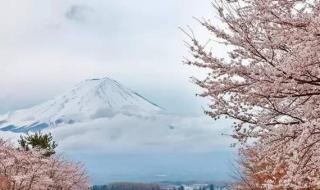 去三亚要多少钱 去三亚要多少钱